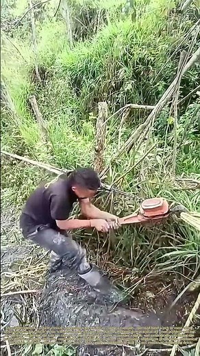 Anchor and Advance: The Physics of Manual Recovery