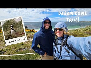 How to See Penguins in Stanley WITHOUT a Tour! | Falkland Islands Cruise Vlog