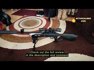 Review Umarex Fusion 2 Quiet .177 Caliber Pellet Gun Air Rifle