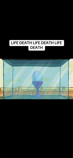Understanding Life and Death Through Roger's Shell