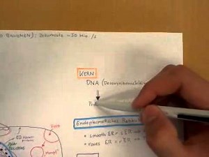 Cytology (Cell Science) Part 1/2