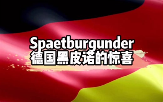 勃艮第之外寻找德国黑皮诺的惊喜 Bernhard Huber