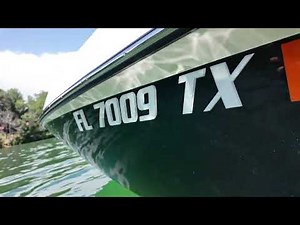 Featuring the All-New Domed Numbers 3D Registration Numbers