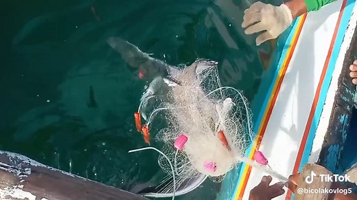 net fishing Philippines Bicol Ako vlog