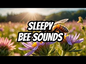 10 Hours of Gentle Bee Buzzing in a Sunny Field for Sleep, Relaxation, Study
