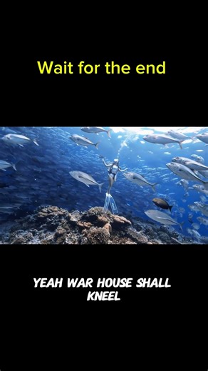 ​🤯 Diving Into the Abyss: The Million-Fish Ocean Vortex 🌀🐟