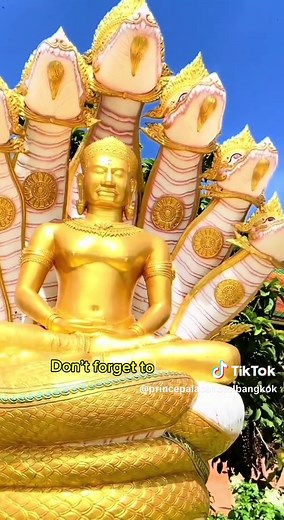 Thailand Digital Arrival Card: A Smooth Travel Requirement