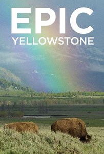 Epic Yellowstone (2019) - TV Show