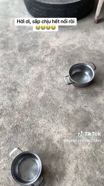 #Thú #tiktokviral #Mị và A Lử# 😭😭😭😭