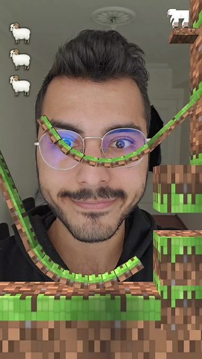 Minecraft Crazy Sheep Derdo.00