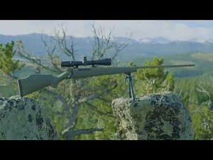 Weatherby Mark V Weathermark LT