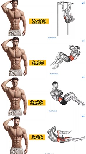 Effective Abs Workout at Home: Upper, Middle, and Lower Abdomen Exercises