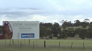 4.9K views · 76 reactions | ⭐ Silent Witness ⭐ Bullish Luck ⭐ Beauty Generation ⭐ Good Ba Ba ⭐ Designs On Rome Some of Hong Kong's greats now call Living Legends home. HKJC Racing | Racing.com | Facebook