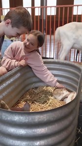 17K views | Having a baby? Get FREE TICKETS to One Fine Baby &...