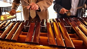 Marimba, Music, Acoustic