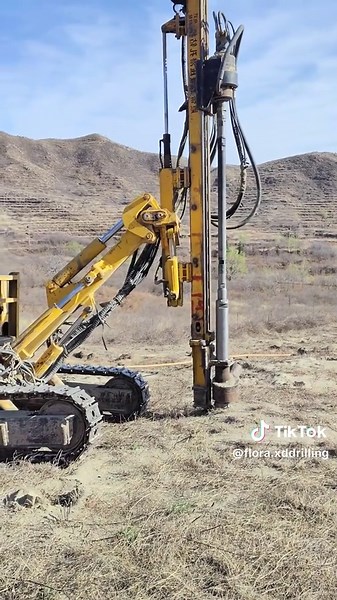 Flora Chen on TikTok