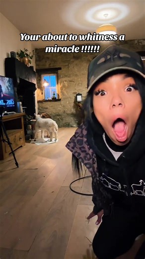 Swearing Shepherdess on TikTok