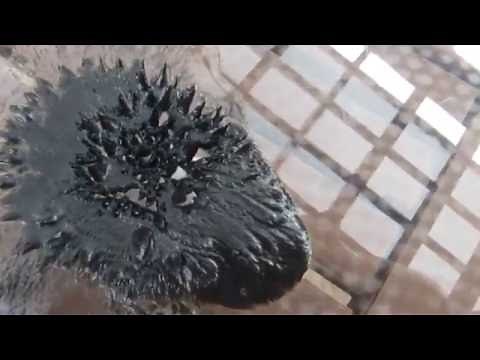 Home Made Ferrofluid