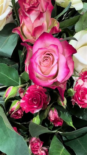 Project Baby on TikTok