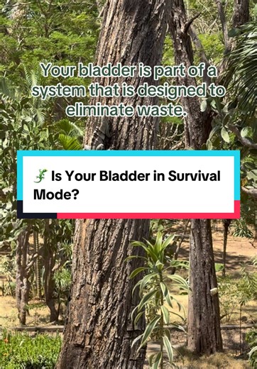 thepelvichealthlady on TikTok