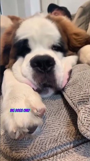 You Can Literally Get Paid for Clips Like This. #youtubeshorts #shortsmonetization