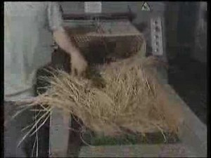 Cutter, shredder, chopper for natural fibers and fabrics jute, linen, hemp, sisal, esparto