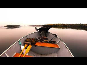 Fall Duck Hunting From My Newfoundland Cabin!