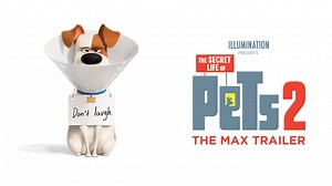 Just when you think you’ve got them figured out. Watch the Max trailer for #TheSecretLifeofPets2. | The Secret Life Of Pets