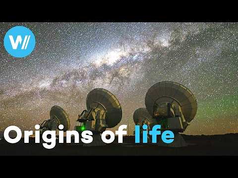 Unravelling the mysteries of the origins of life with the Rosetta probe's landing on a comet