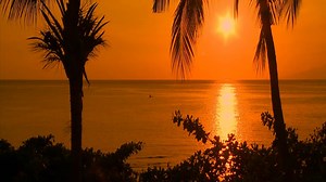 Relaxation Video - Paradise Beaches Shot in HD with Nature Sounds