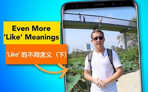 ‘Like’ 的不同含义（下）