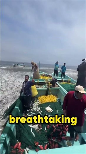 The Ocean is Literally Exploding with Fish! 🐟🌊