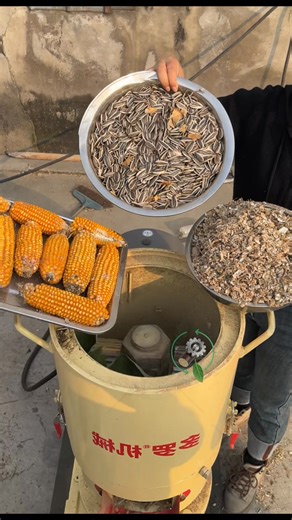 Installation and commissioning of the feed pellet machine | Machine expert