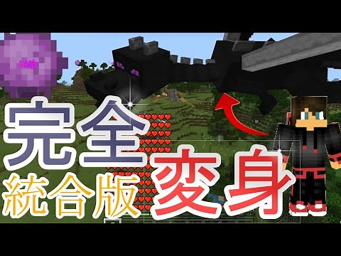 Command that can transform into an Ender Dragon [Minecraft Bedrock Edition]