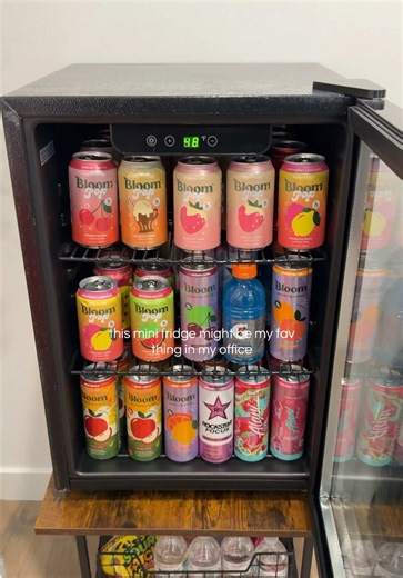 Essential Mini Fridge Ideas for Your Home Office