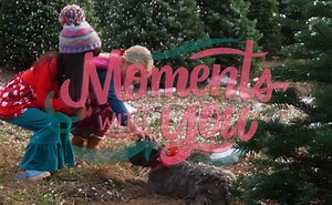 Shout it from the treetops – our holiday release is almost here! Our most festive collection can be yours October 28. | Matilda Jane Clothing