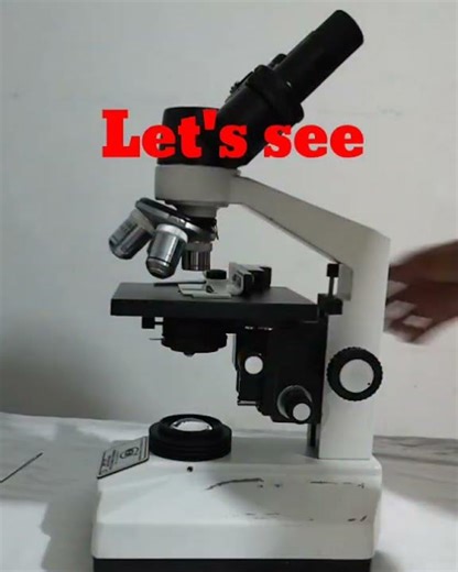 lactobacillus 🔬🦠 #experiment #science #education #