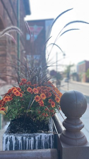 Despite unseasonably warm temperatures (we are LOVING it) downtowncarletonplace has embraced Autumn! Come see for yourself and “fall in love” 😉 🍂 with Carleton Place this Autumn. #vistcp #downtowncarletonplace #stillpatioseason #fallcolours #autumnvibes #smalltowncharm #cptourism #fallinlove #fallinlovewithCP #stillwarm | Downtown Carleton Place