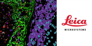 3D Spatial Biology Insights Simplified with AI