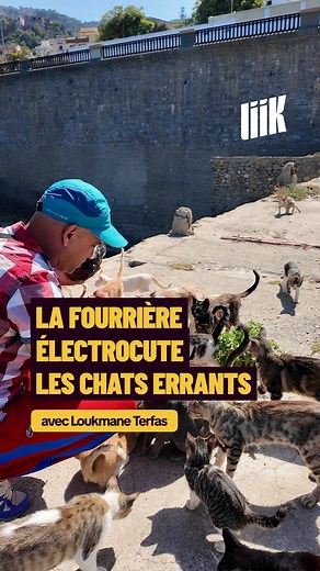 165K views · 940 reactions | #Rediff Lui, c’est Loukmane, « le papa...