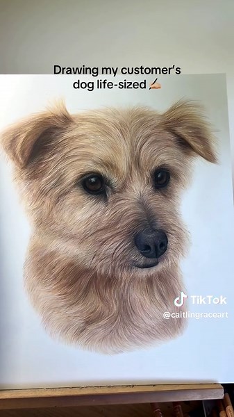 Life-Sized Dog Drawing by Talented Pet Artist