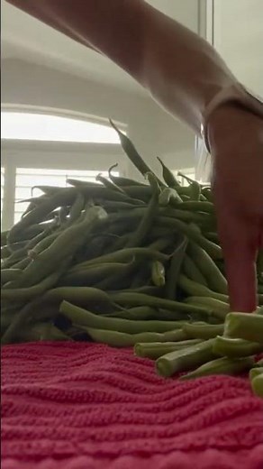 How to Freeze your Extra Green Beans