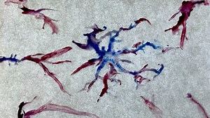 oil paint animation sample