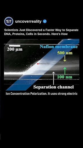 Scientists Just Discovered A Faster Way To Separate DNA, Proteins & Cells In Seconds #shorts