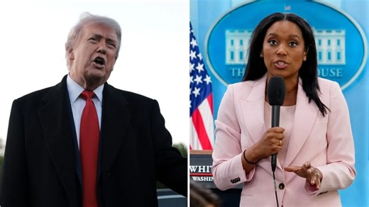 Did Trump Call ABC Reporter Rachel Scott A 'B***h'? Here's What Viral Video Shows