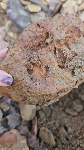 Collecting some Geodes in Central Kentucky. 🪕🌒🔮🌘