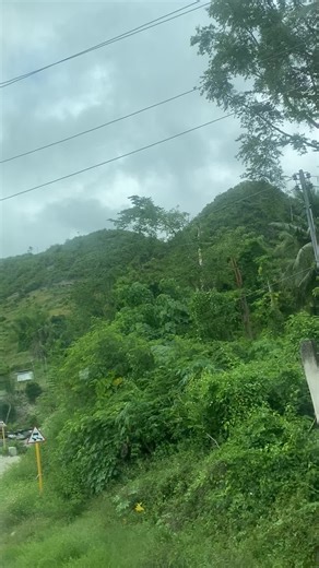 Miss brown eyes (@celyn.debaguio)’s videos with original sound - Yumi 🎸