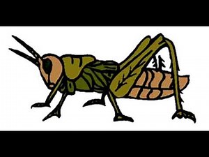 Cricket Chirp - Sound Effect ▌Improved With Audacity ▌