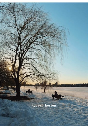 signs of spring today in boston 🫶 #bucketlistboston #bostonma #boston #newengland #thingstodoboston