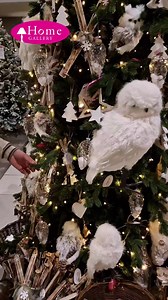 32 reactions · 6 comments | Looking for a Christmas Tree? Check out our video explaining the different types available  https://homegallery.ie/pc/christmas/trees-wreaths-garlands-floral/christmas-trees/ #ChristmasTree #Christmas #ChristmasDecorations #Galway #Ennis #Naas | Home Gallery Interiors | Facebook